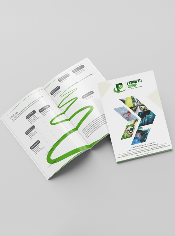 Pashupati Group Brochure